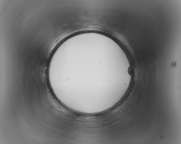 X0000111251260200907231544