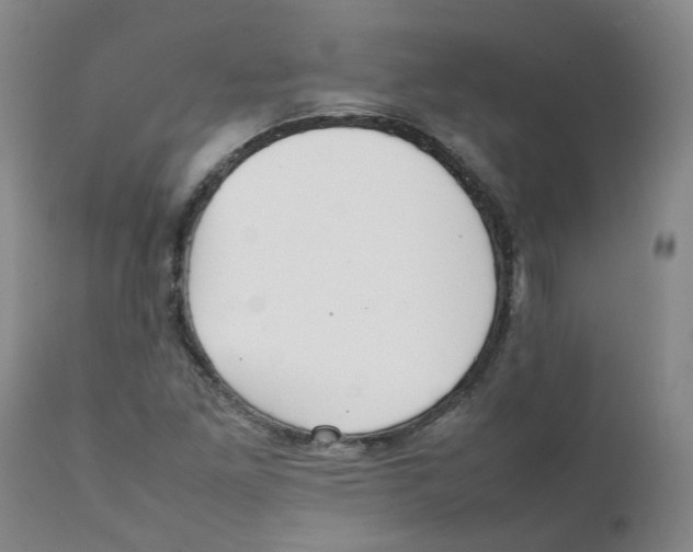 X0000111251261200907231544