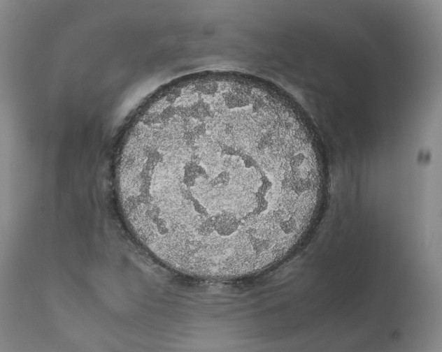 X0000111251263200907231544