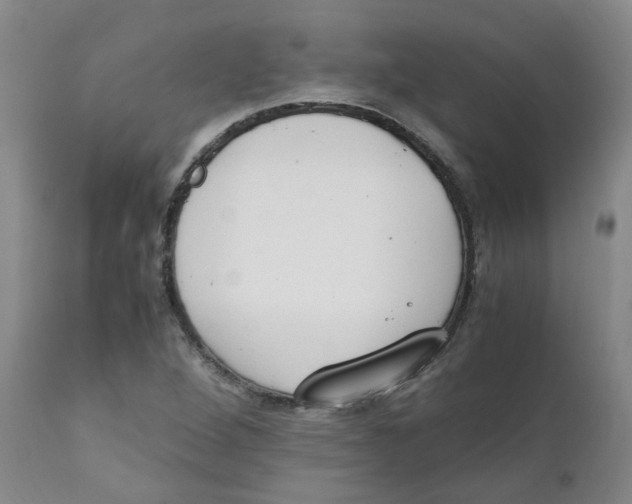 X0000111251264200907231544