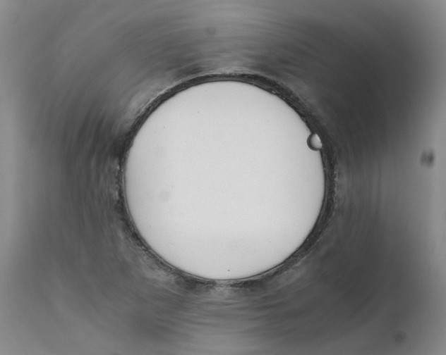 X0000111251265200907231544