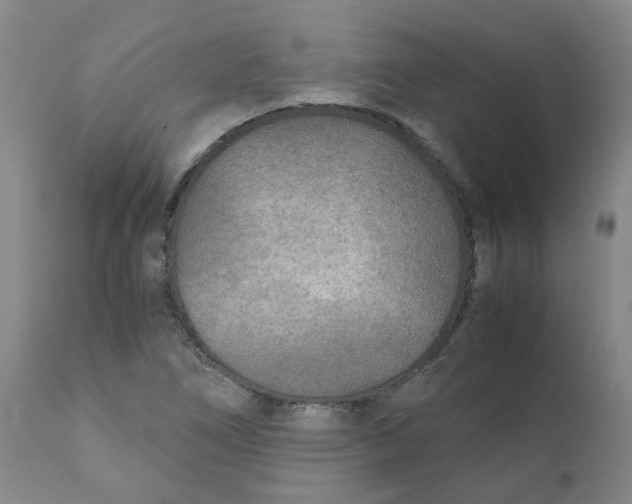 X0000111251266200907231544