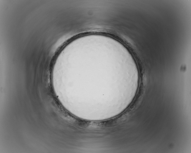 X0000111251267200907231544