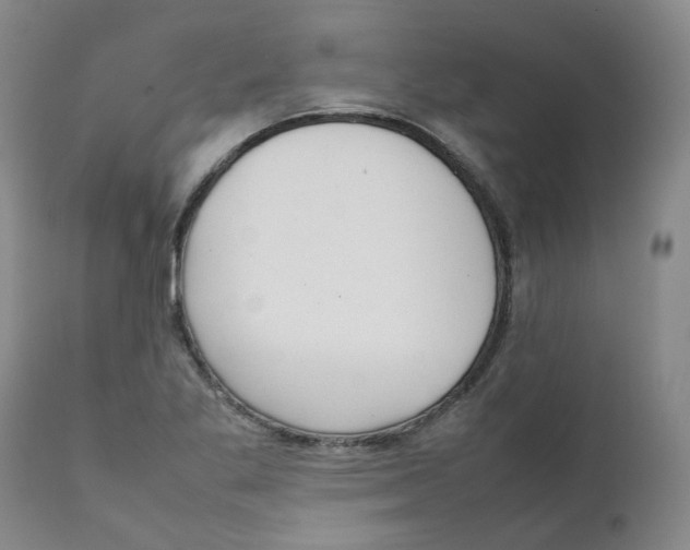 X0000111251269200907231544