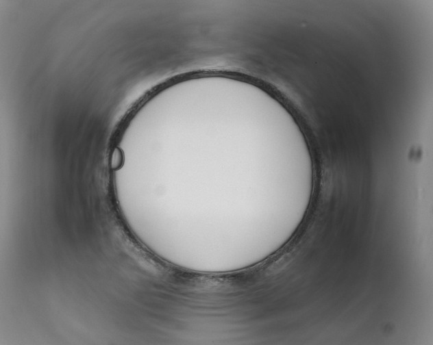 X0000111251270200907231544