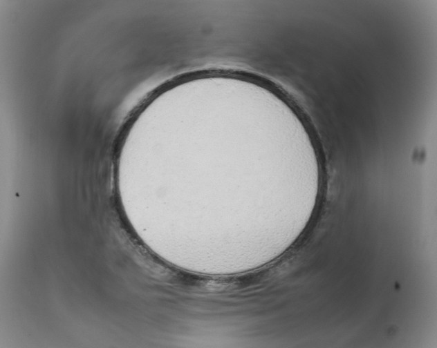 X0000111251271200907231544