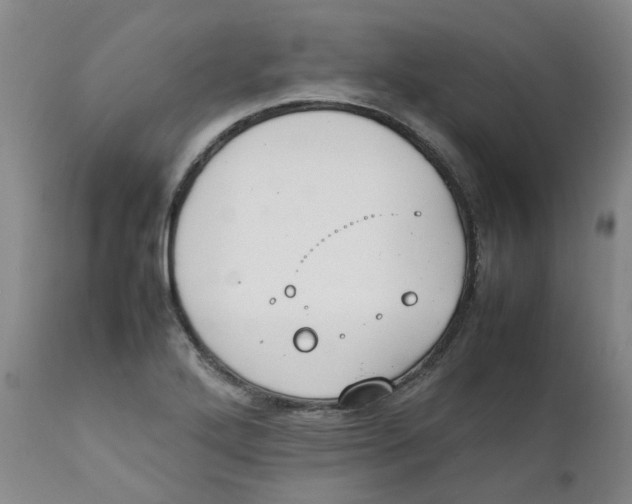 X0000111251272200907231544