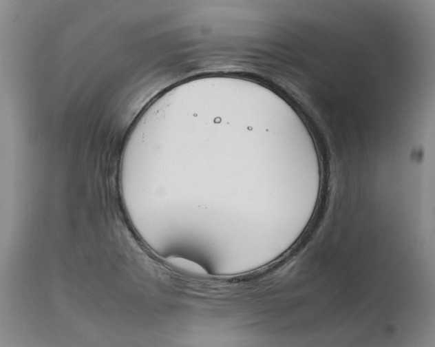 X0000111251273200907231544