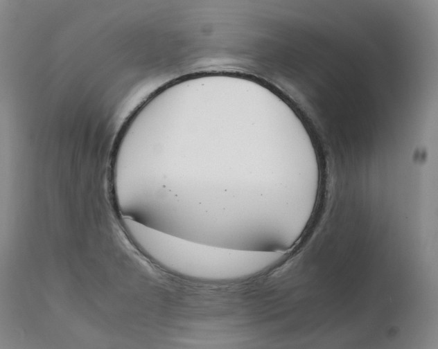 X0000111251277200907231544