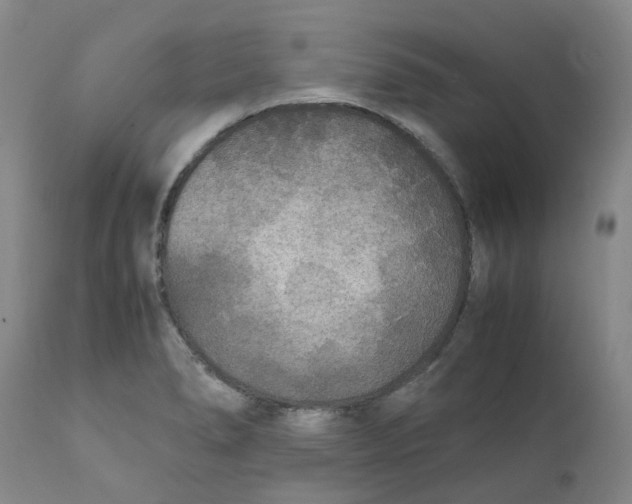 X0000111251278200907231544