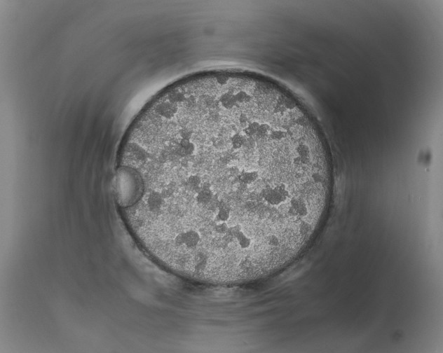 X0000111251279200907231544