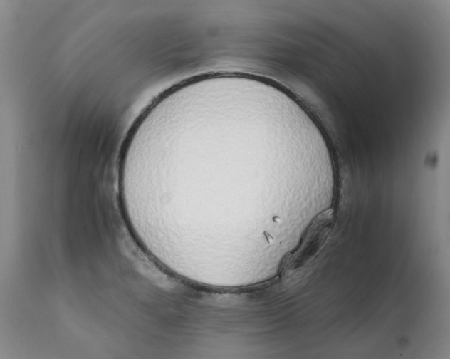 X0000111251280200907231544