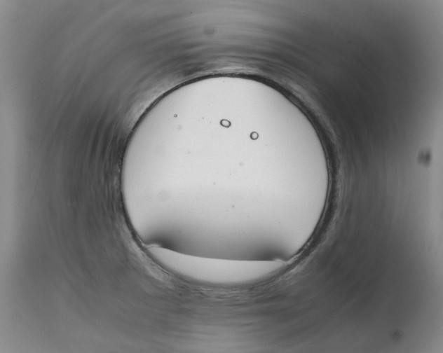 X0000111251281200907231544