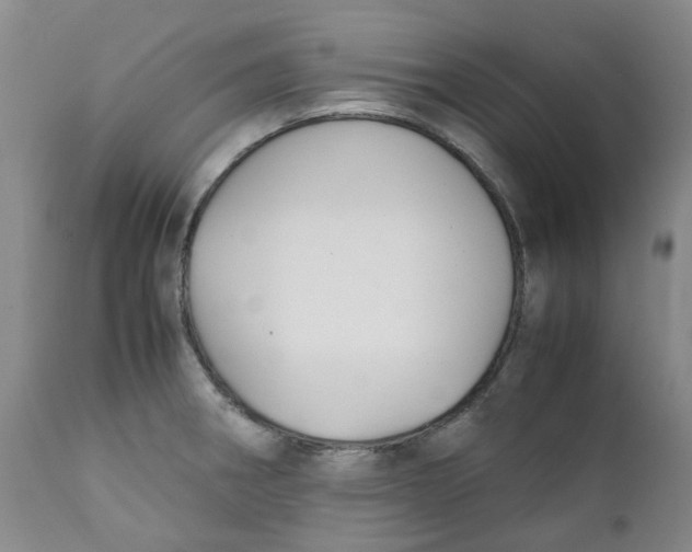 X0000111251282200907231544