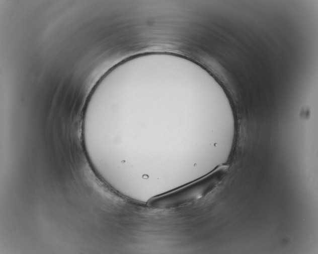 X0000111251284200907231544