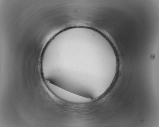 X0000111251285200907231544