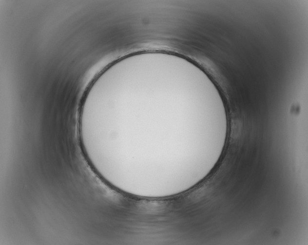 X0000111251286200907231544