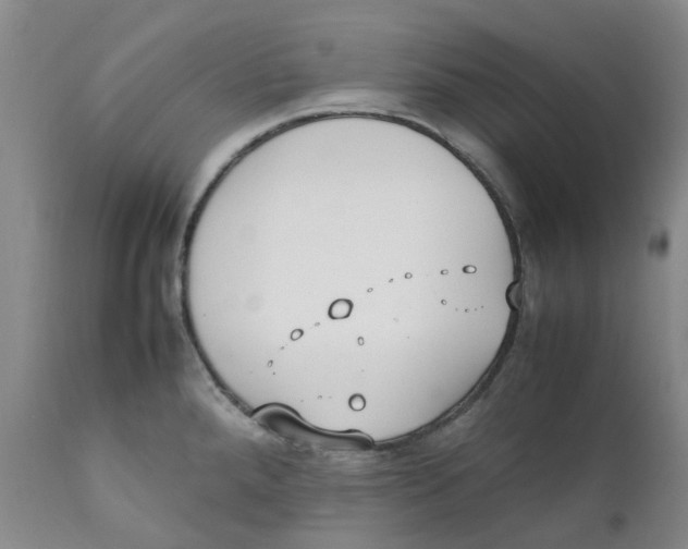 X0000111251288200907231544