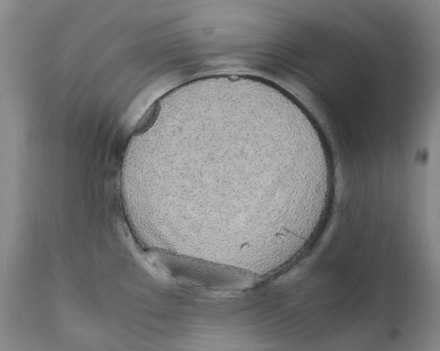 X0000111251289200907231544