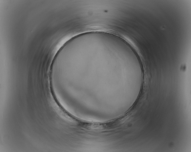 X0000111251291200907231544