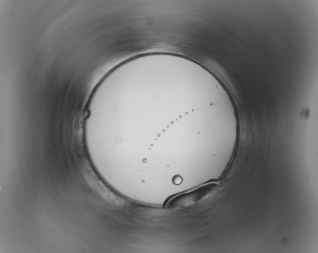 X0000111251292200907231544