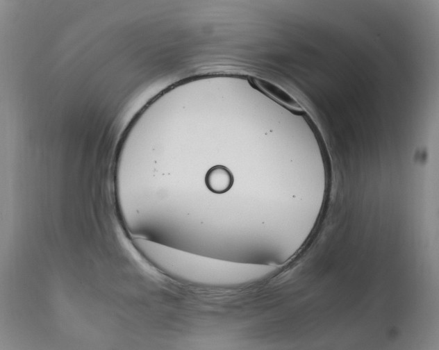 X0000111251293200907231544