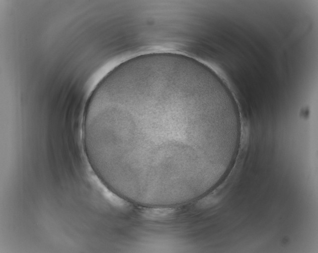 X0000111251294200907231544