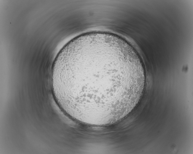 X0000111251295200907231544