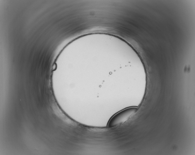 X0000111251296200907231544