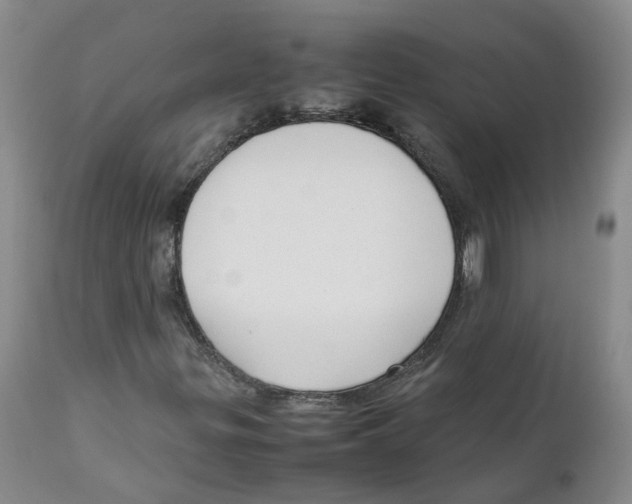 X0000111251299200907231543