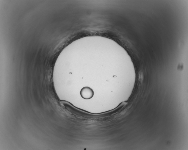 X0000111251300200907231543