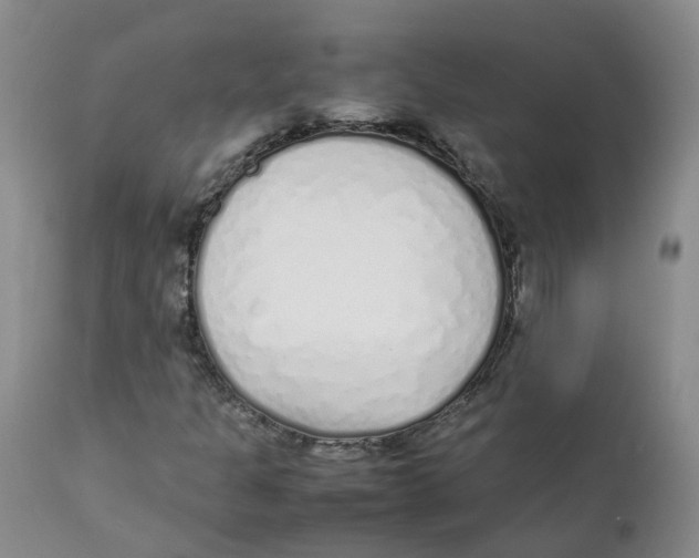 X0000111251301200907231543