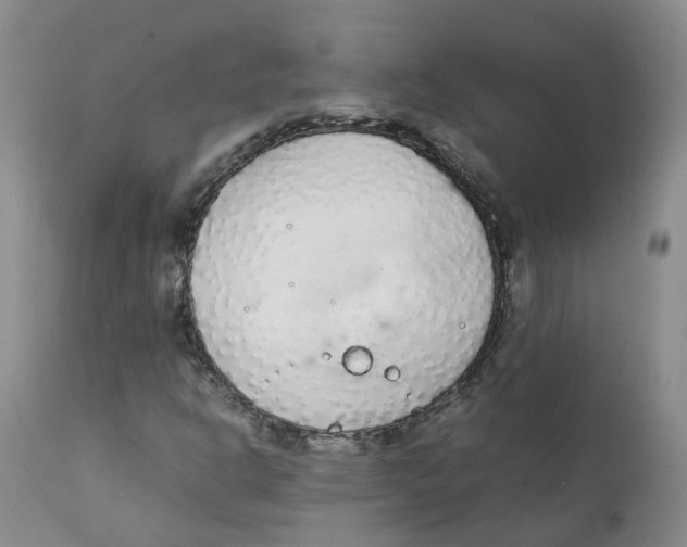 X0000111251302200907231543