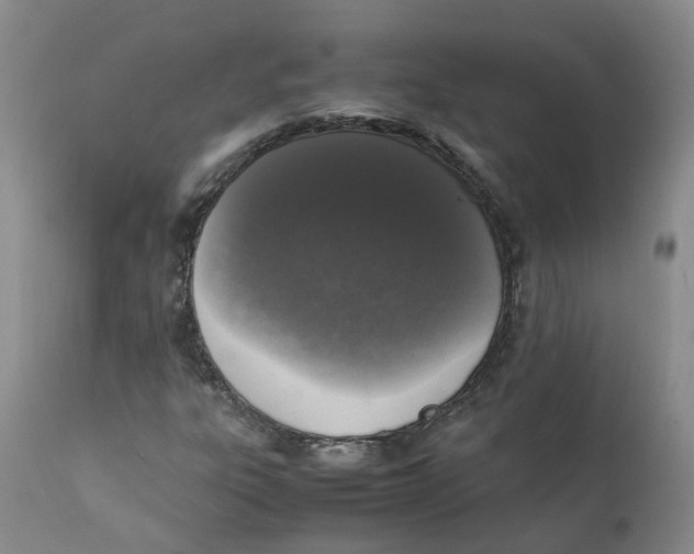 X0000111251303200907231543