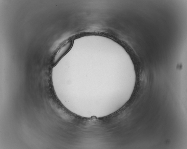 X0000111251304200907231543