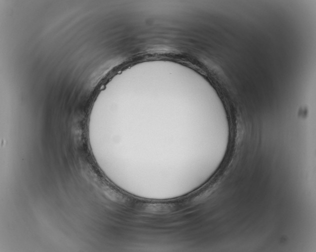 X0000111251305200907231543