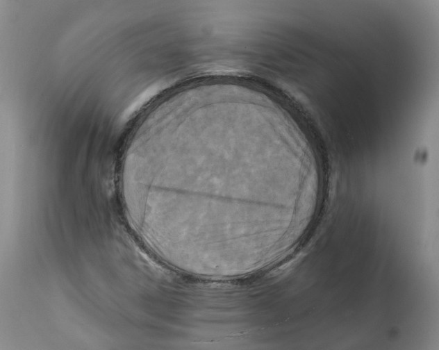 X0000111251306200907231543