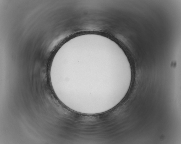 X0000111251307200907231543