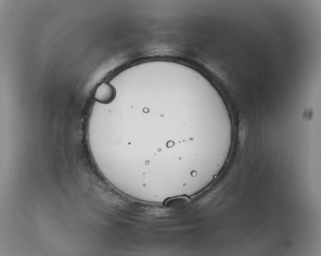 X0000111251309200907231543