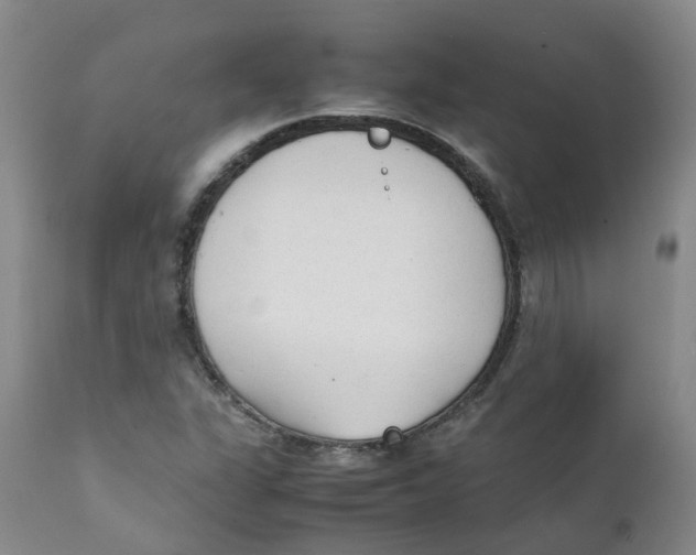 X0000111251311200907231543