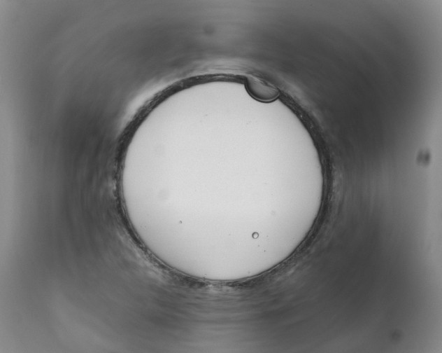 X0000111251312200907231543