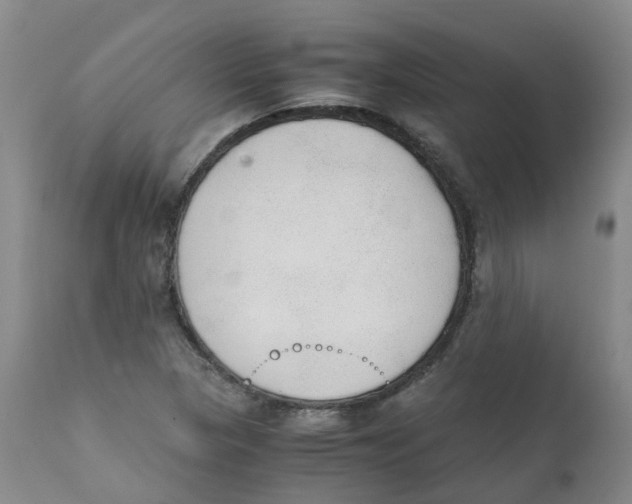 X0000111251313200907231543