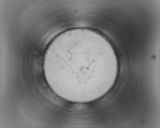 X0000111251314200907231543