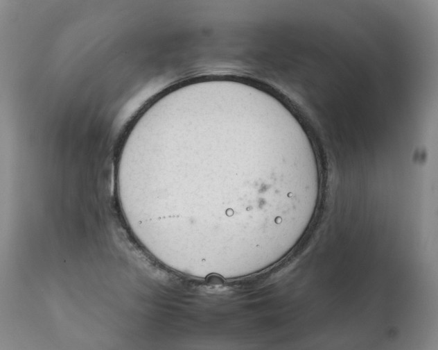 X0000111251317200907231543