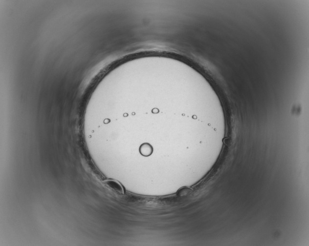 X0000111251318200907231543