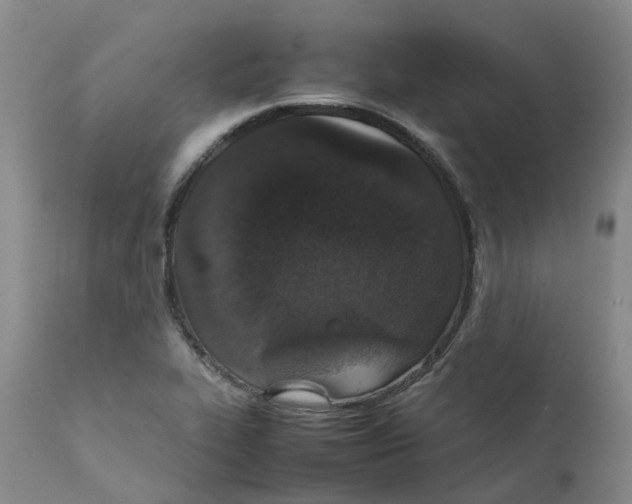 X0000111251319200907231543