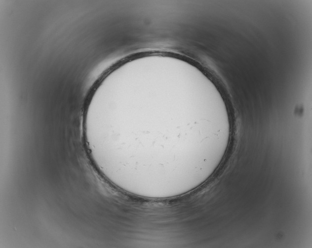 X0000111251320200907231543