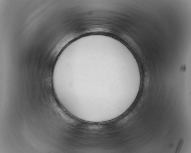 X0000111251321200907231543