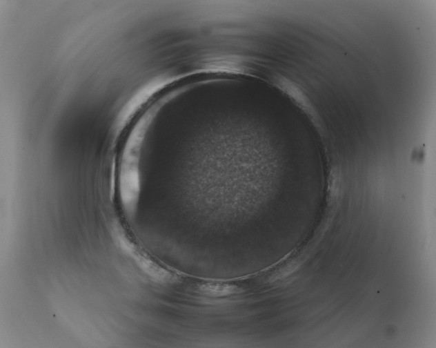 X0000111251323200907231543