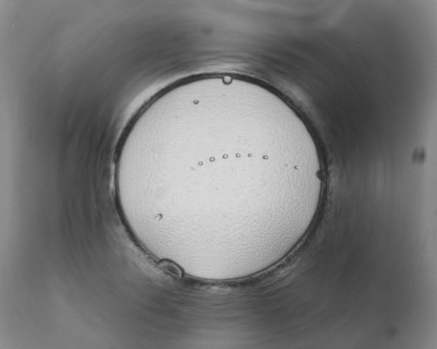 X0000111251324200907231543